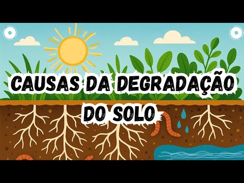 Degradação do Solo 🌱 Causas, Tipos e a Força da Regeneração da Natureza