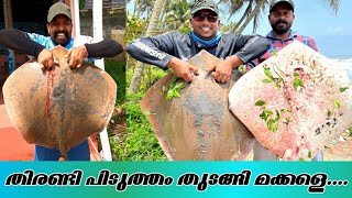 100 kg + തിരണ്ടി| ഈ മീൻ മുറിച് ഇട്ടാൽ നിങ്ങൾകും തിരണ്ടി കിട്ടും| #stingray fishing#kerala_fishing