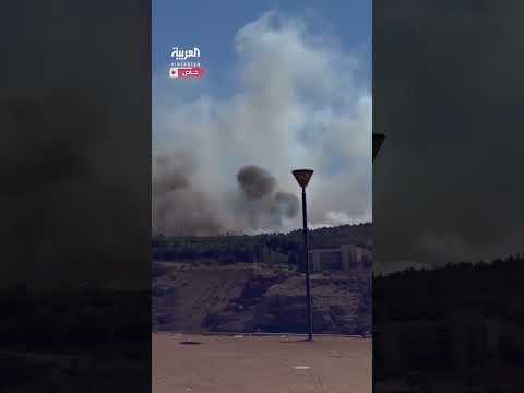 حريق في الأحراش المحاذية لقصر الشعب بدمشق بسبب مطعم