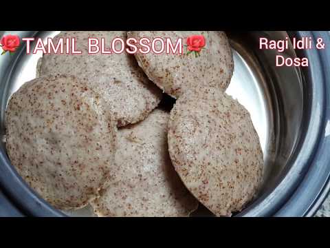 ragi-spongy-idli-recipe-/-ragi-recipes-in-tamil-/-kelvaragu-idli-/-kelvaragu-dosa