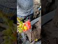 unique cutting tip machete long #blacksmith #handmade #viral #cuttingskills #fyp