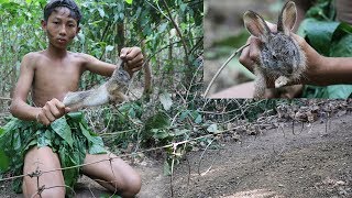 Primitive Technology: Believe This Trapping? Unique Wild Rabbit Trap CORNG | Primitive Real Life