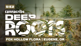Award Winning Craft Cannabis | Fox Hollow Flora in Eugene, Oregon