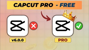 How to STOP Capcut PC From Updating Automatically!