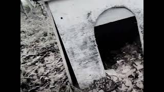 VID_0050.MOV