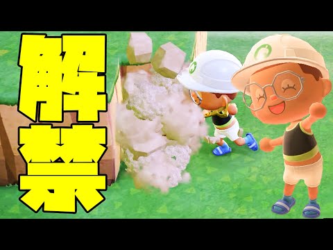 あつまれどうぶつの森 hqdefault.jpg