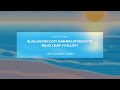 Blue Lagoon 🌊 Cozy Summer Lofi Beats to Relax / Surf / Chillout [Rafelune]