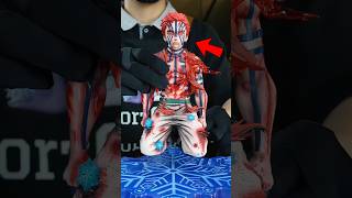 Akaza Finally Reunites With Koyuki… 😭 The Saddest Demon Slayer Figure! #DemonSlayer #Akaza #Shorts