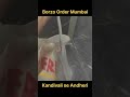 Borzo Order Mumbai || Kandivali Se Andheri
