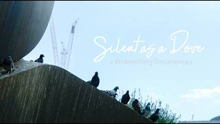 Silent as a Dove: A look into the Birdwatching community