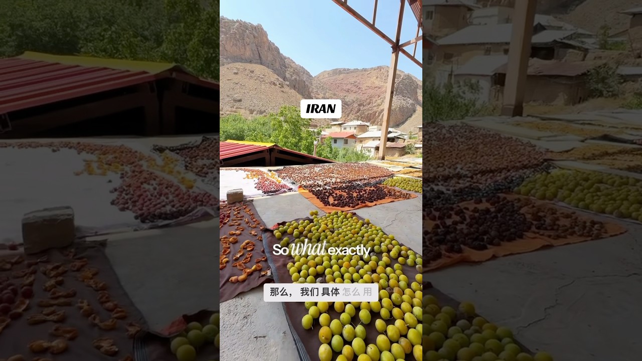 Traditional Fruit Drying & Jam Making on a Rooftop in Iran