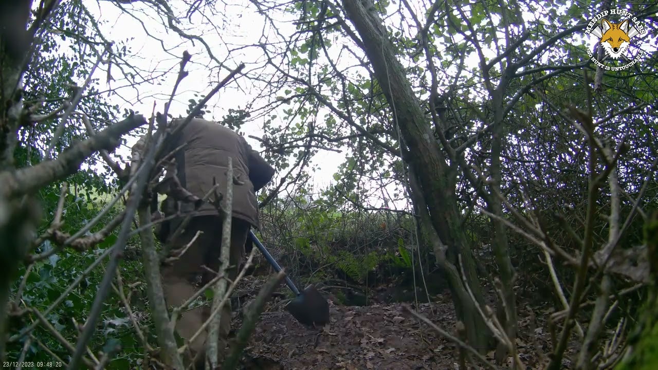 Caught Red Handed! Mendip Farmers Hunt Terrier Men Block Active Badger Sett