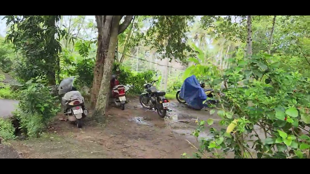 A Slow Walk To Lighthouse Beach Kovalam India October 2023