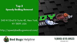 Top 3 Bed Bug Removal in New Brunswick