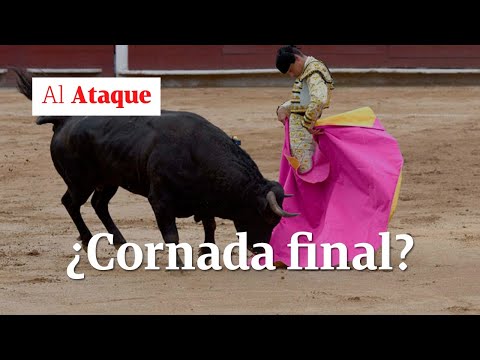 Tauromaquia Colombia: ¡Qué viva el toro bravo! | Al Ataque