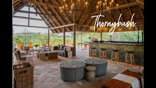 🐅 Thornybush Game Lodge Suites: A Luxury Safari Accommodation Tour | Secrets VIP Travel 🇿🇦