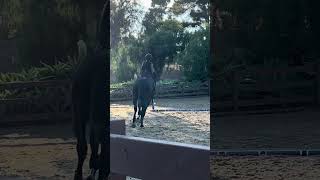 First Ride On Chacano