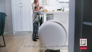 Give the Gift of Clean Air this Holiday Season