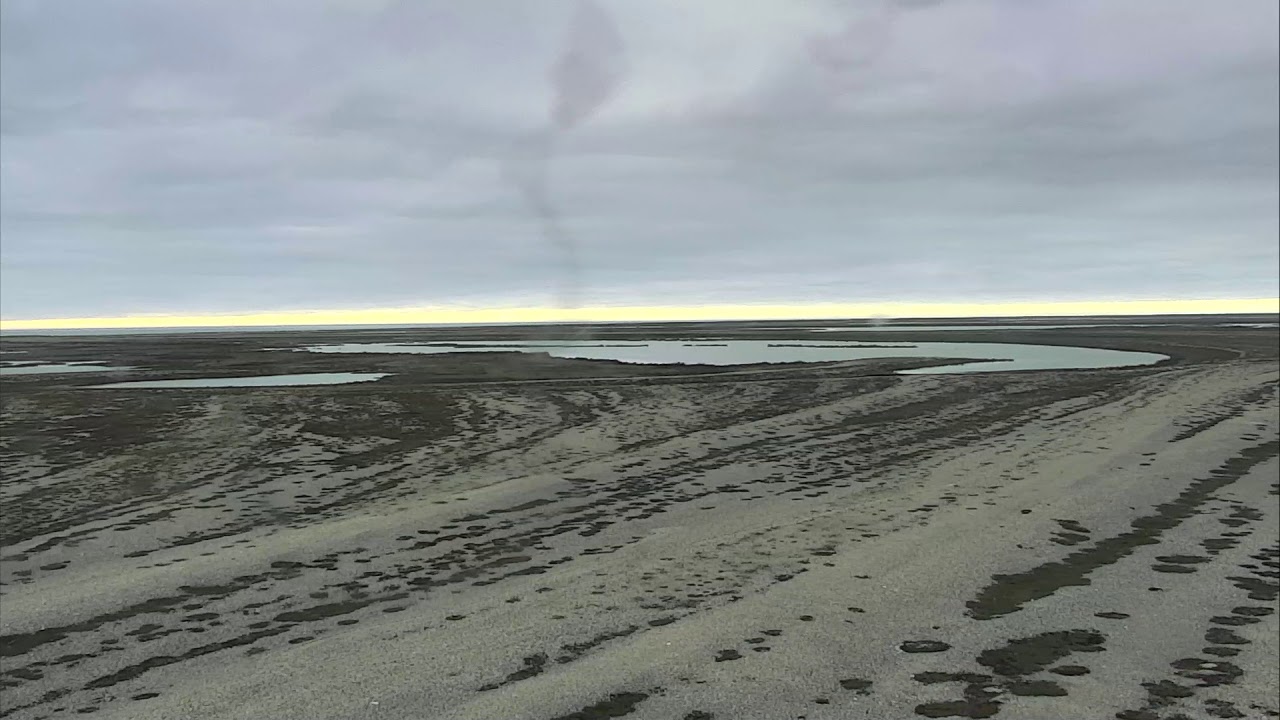 arctic ocean Polar Bears Cape North - Wapusk National Park Cam 06-26-2018 04:03:07 - 05:03:07