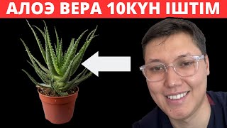 картинка: Гастрит, іш қату, бронхит, жөтел, ангина – 2000тг тұратын ТАБИҒИ ДӘРІ  Сок АЛОЭ