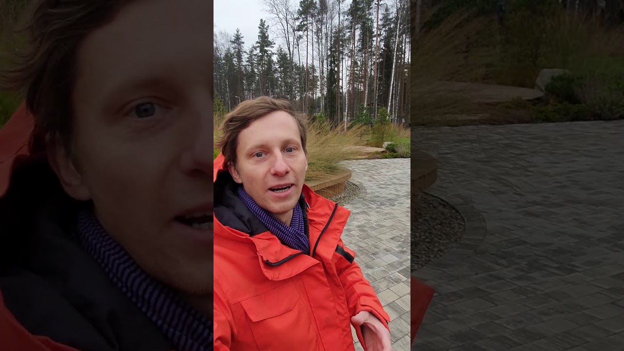 Петр лари проекты