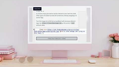 Learn HTML by Building a Cat Photo App - Step 15