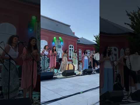 Palya Bea, Napfonat - Zöld-kék élet (élőben Dunaharasztin)