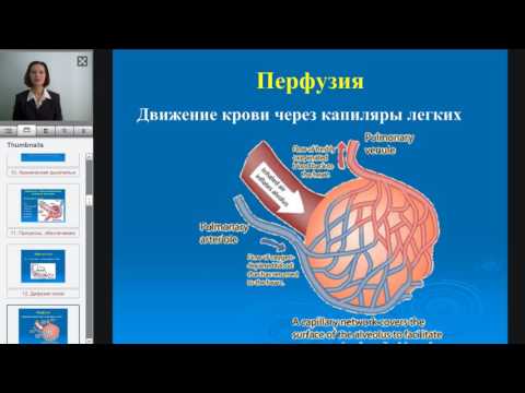 7 Патофизиология внешнего дыхания  Гипоксия