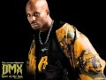 DMX The Rain DMX The Rain