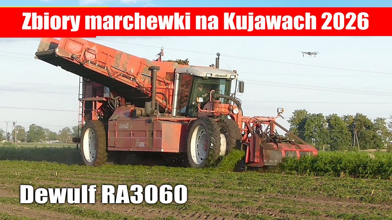 Dewulf RA3060 zbiory marchewki na Kujawach 2026 maxresdefault Dewulf RA3060 zbiory marchewki na Kujawach 2026