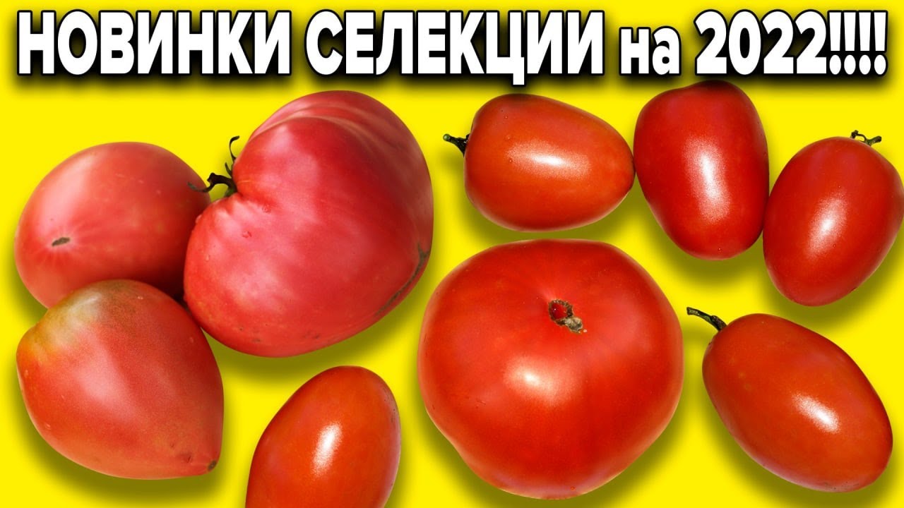 Аленин Сад Новые Видео 2022 Года Аленин Сад Новые Видео 2022 Года