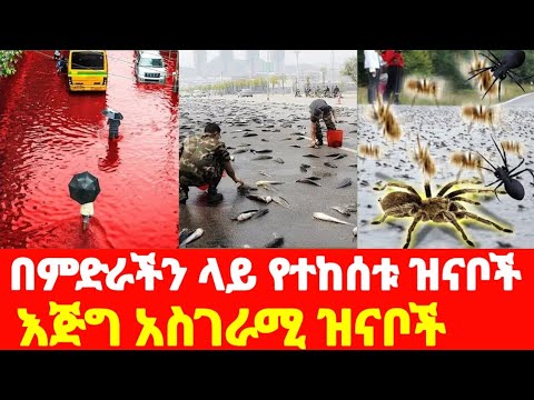 የእሳት ዝናብ የደም ዝናብ የዓሳ ዝናብ የሸረሪት ዝናብ ዘነበ በጣም ይገርማል Ethiopianews