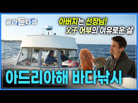 지중해에서 선장 아버지와 함께하는 바다낚시 🎣 사이좋은 父子 어부 | 아드리아해에서 가장 맛있는 물고기 &amp;#39;가나르&amp;#39; 생선구이 | 세계테마기행 | #골라듄다큐