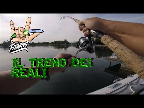 spinning al persico