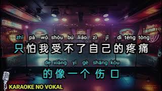 Ai de tai duo  爱得太多 - male - karaoke no vokal ( dave wang jie ) cover to lyrics pinyin