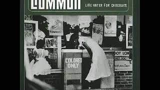 Funky 4 U - Common