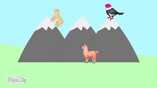 Mountain Animals Of South American