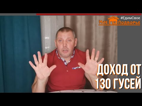 Сколько я заработал