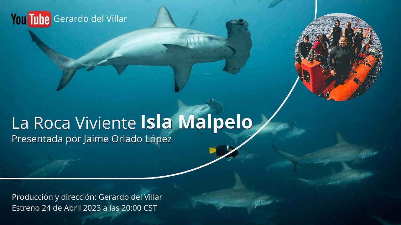 Documental LA ROCA VIVIENTE Malpelo la isla de los TIBURONES YouTube
