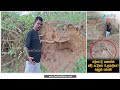 Ambur sand theft | ஆம்பூரில் அவலம்! இப்படியா மணல் கொள்ளை நடக்குது?