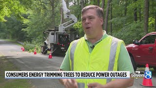 Consumers Energy trims more trees to improve reliability during storms