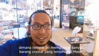 Vlog #8 PK
