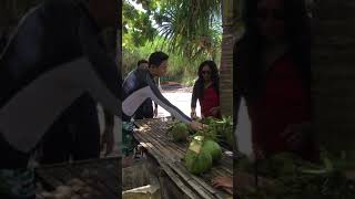 Balicasag Island Boholmarivet Boysillo