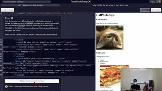 Steps 56 - 68 | Responsive Web Design | Cat Photo App | FreeCodeCamp
