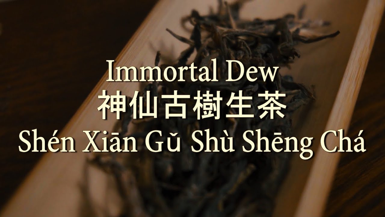 Immortal Dew Gu Shu Cha Sheng Pu'er