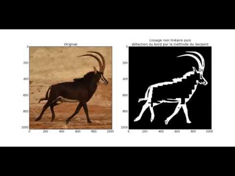 Traitement d'images : détection de contour par la méthode du Serpent