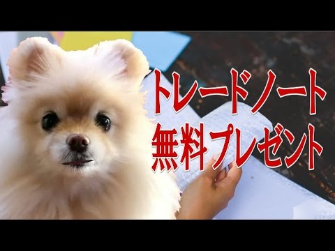 Photo レシピノート エクセル