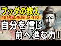 【ブッダの教え】自分を信じ前へ進む！自信を喪失した自分を受け入れ、前を向く教え！