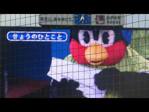 つば九郎の今日のひとこと～こんな土手は嫌だ!!～
