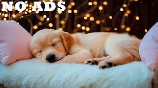 تطبيق DogTV Healing Sound للكلاب 🎵 يوفر وقتًا هادئًا ودافئًا للراحة screenshot 4